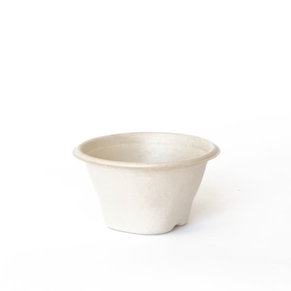 Pulp Soup Bowls / Cups 12oz (Ctn) 1000
