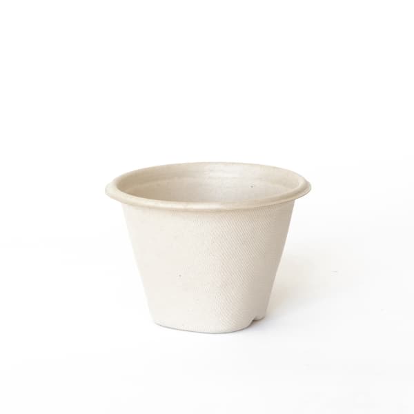 Pulp Soup Bowls / Cups 16oz 100/pkt