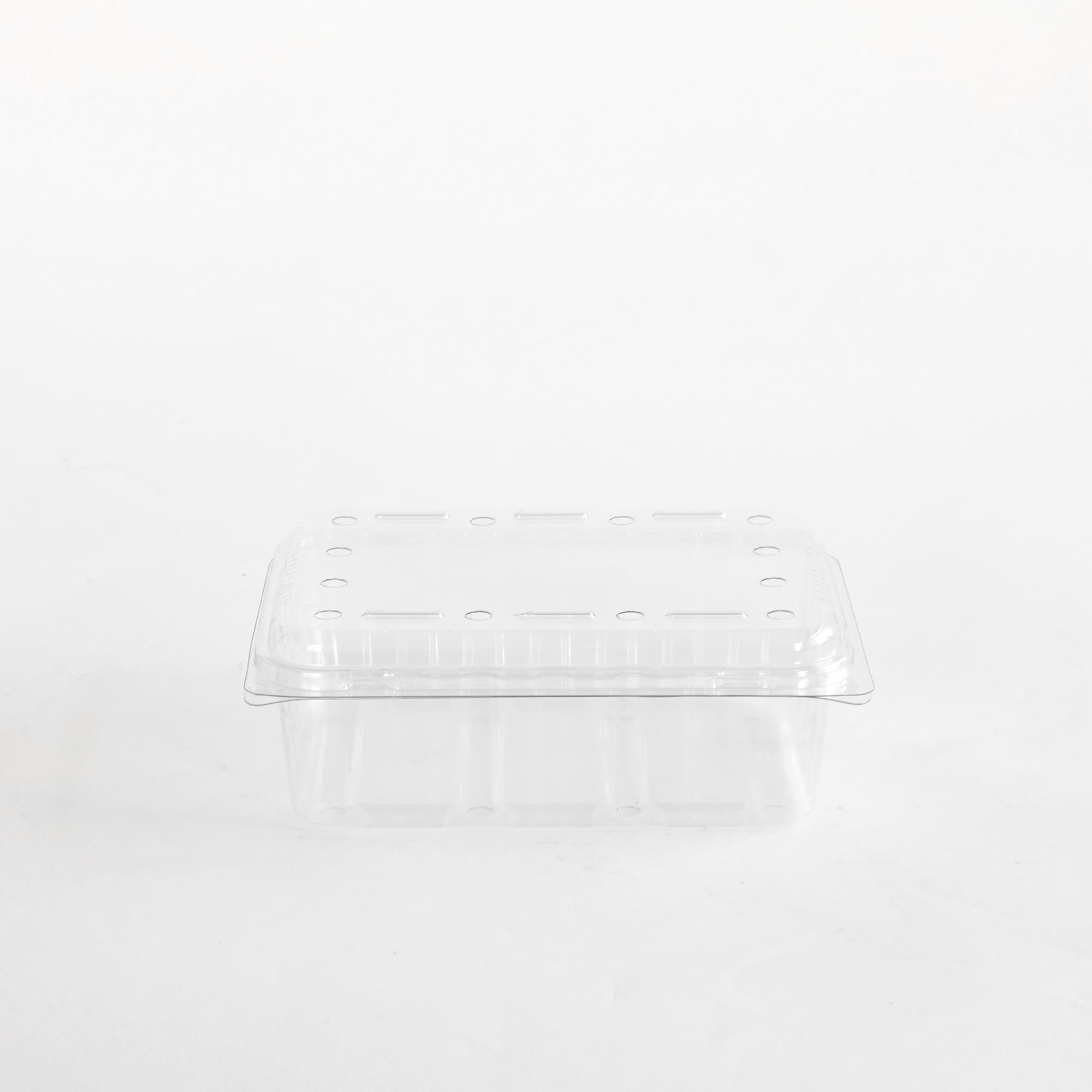 Fruit Punnet Holes in Lid Only 500gm 64x180x110mm 250/Ctn